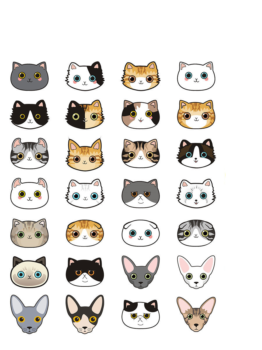Cat name brand customized identity card bell