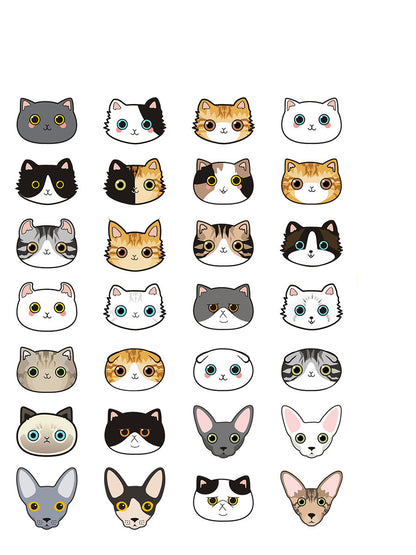 Cat name brand customized identity card bell