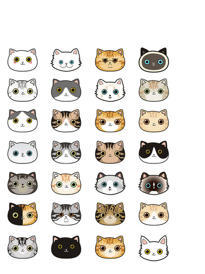 Cat name brand customized identity card bell