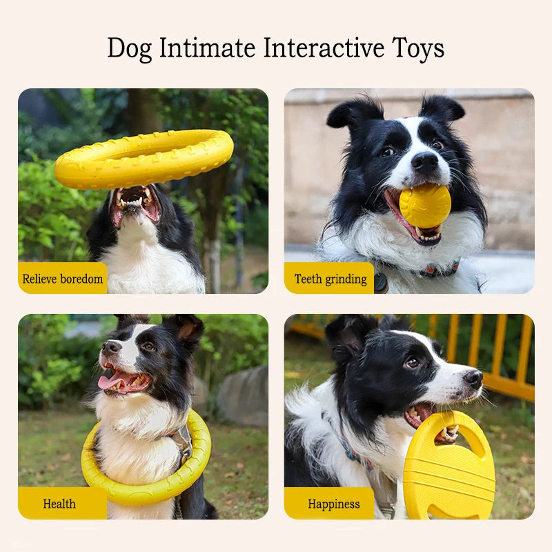 Pat and Pet Emporium | Pet Toys | Flying Throw Ring Toy