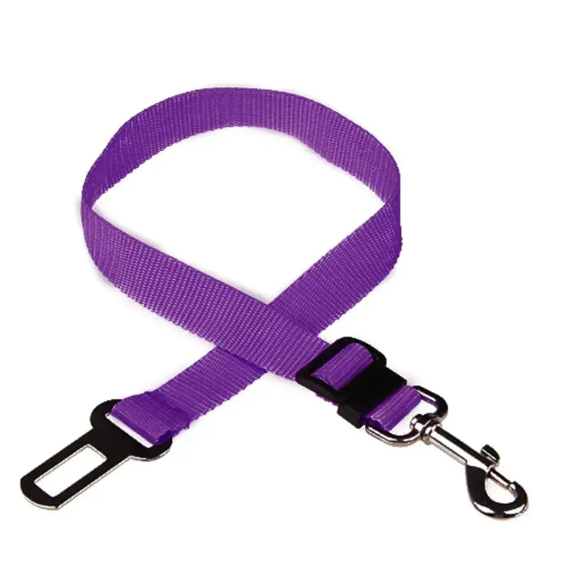 Pet Seat Belt Leash