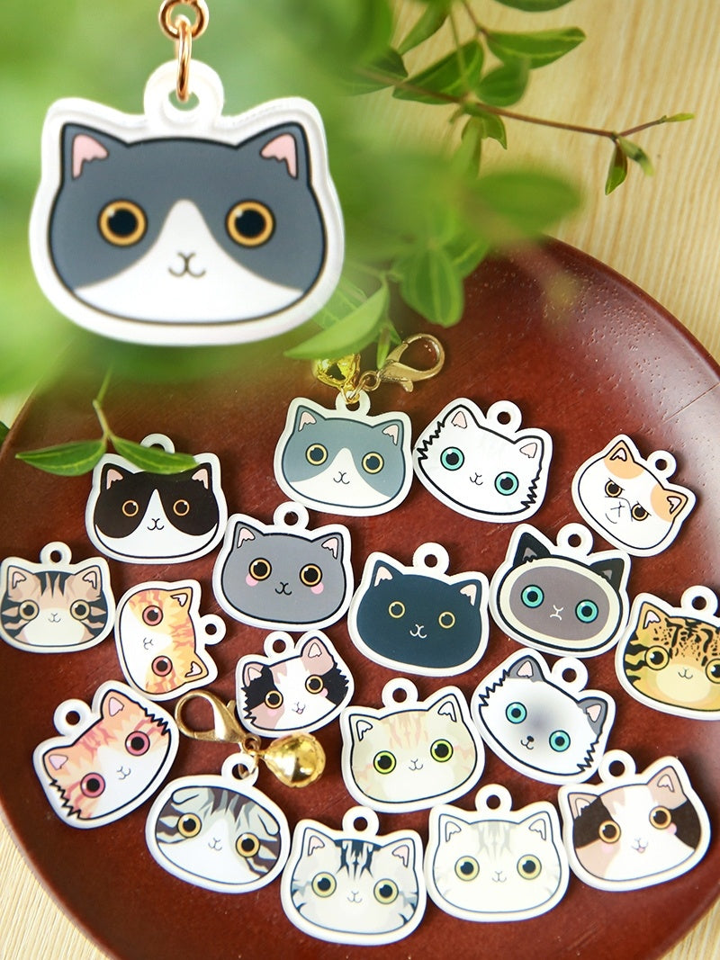 Cat name brand customized identity card bell
