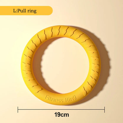 Pat and Pet Emporium | Pet Toys | Flying Throw Ring Toy