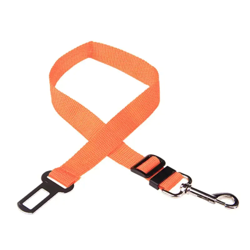 Pet Seat Belt Leash