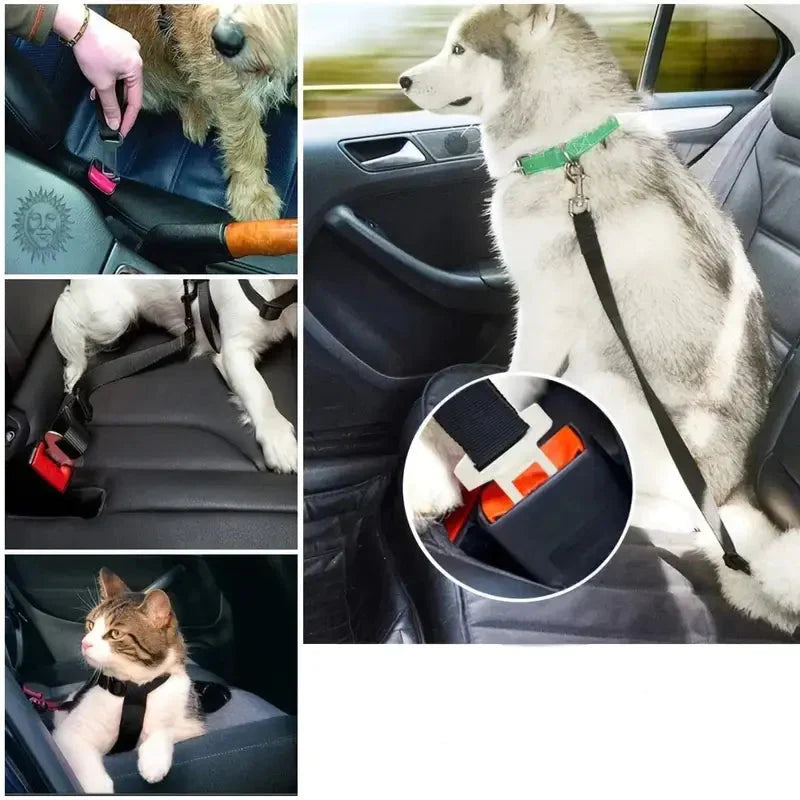 Pet Seat Belt Leash