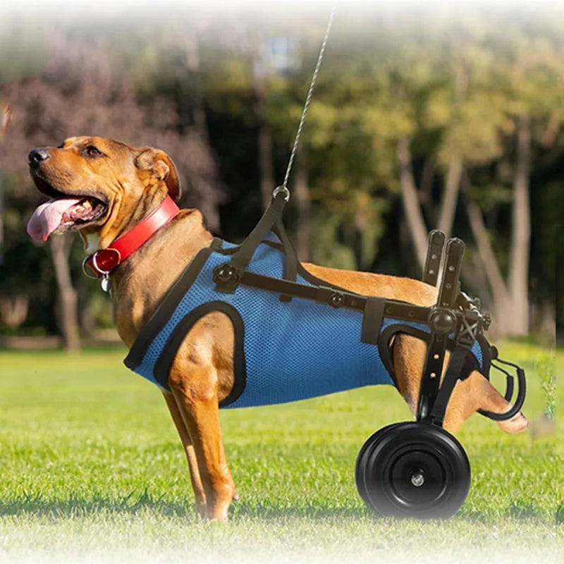 Choice Pet Wheelchair For Dog Hind Leg Paralysis Rehabilitation