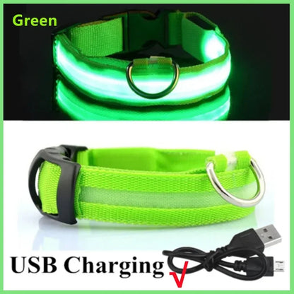 Nylon LED Night Safety Flashing Glow In The Dark Dog