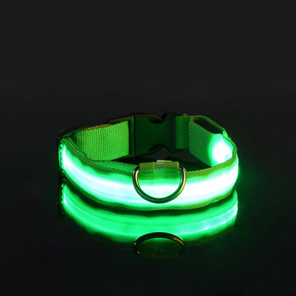 Nylon LED Night Safety Flashing Glow In The Dark Dog