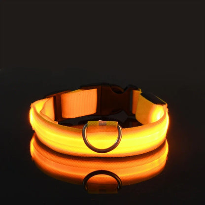 Nylon LED Night Safety Flashing Glow In The Dark Dog