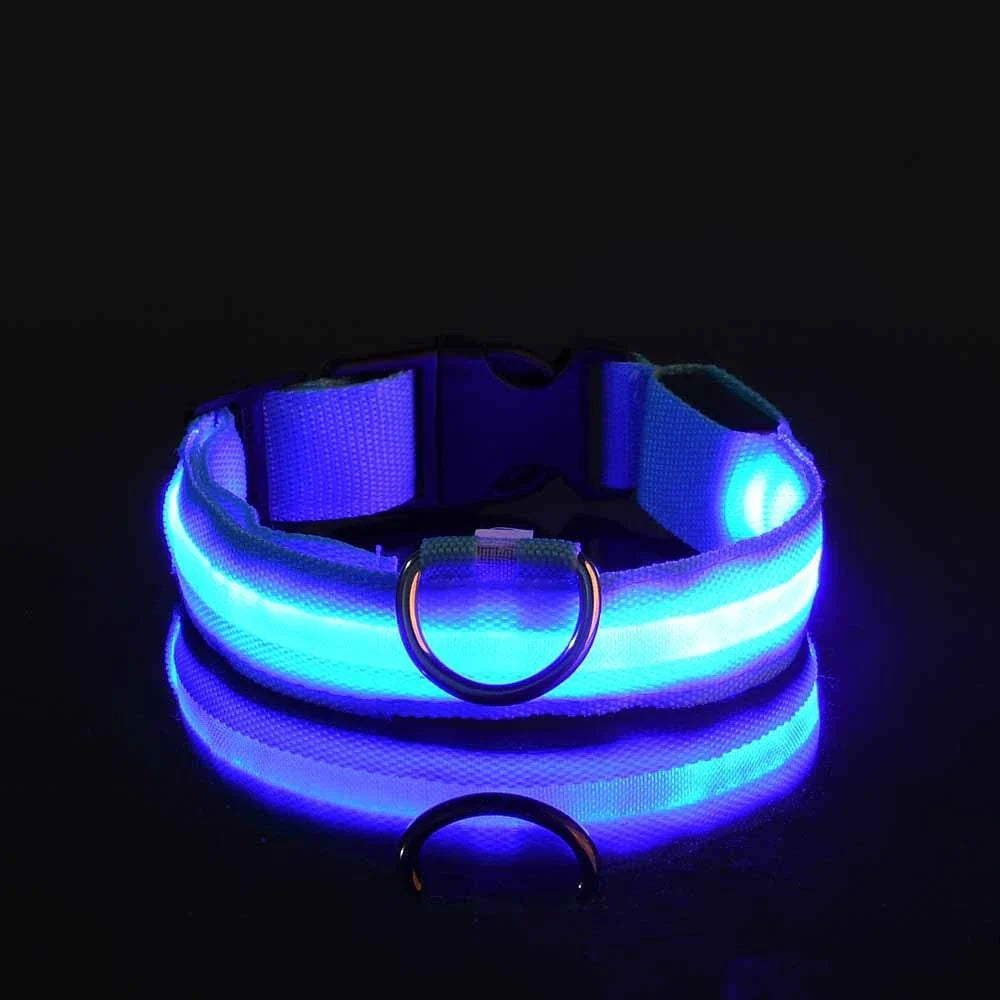 Nylon LED Night Safety Flashing Glow In The Dark Dog