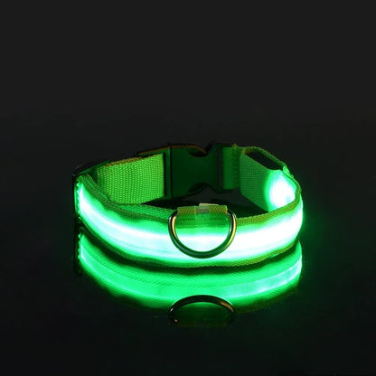 Nylon LED Night Safety Flashing Glow In The Dark Dog