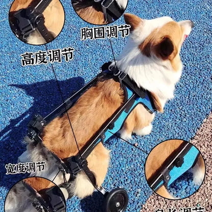 Choice Pet Wheelchair For Dog Hind Leg Paralysis Rehabilitation