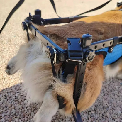 Choice Pet Wheelchair For Dog Hind Leg Paralysis Rehabilitation