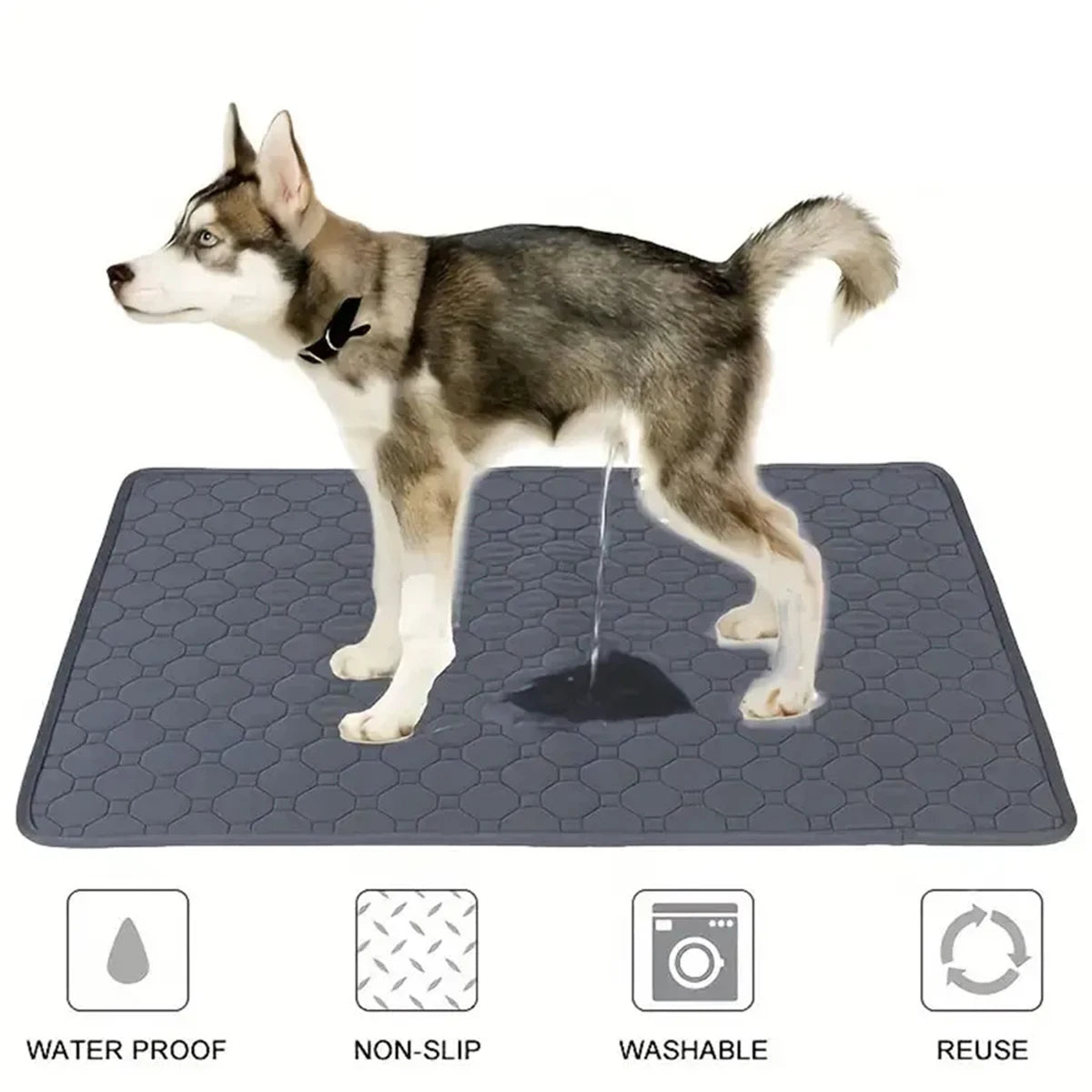 Washable Puppy Training & Pet Bed Mat