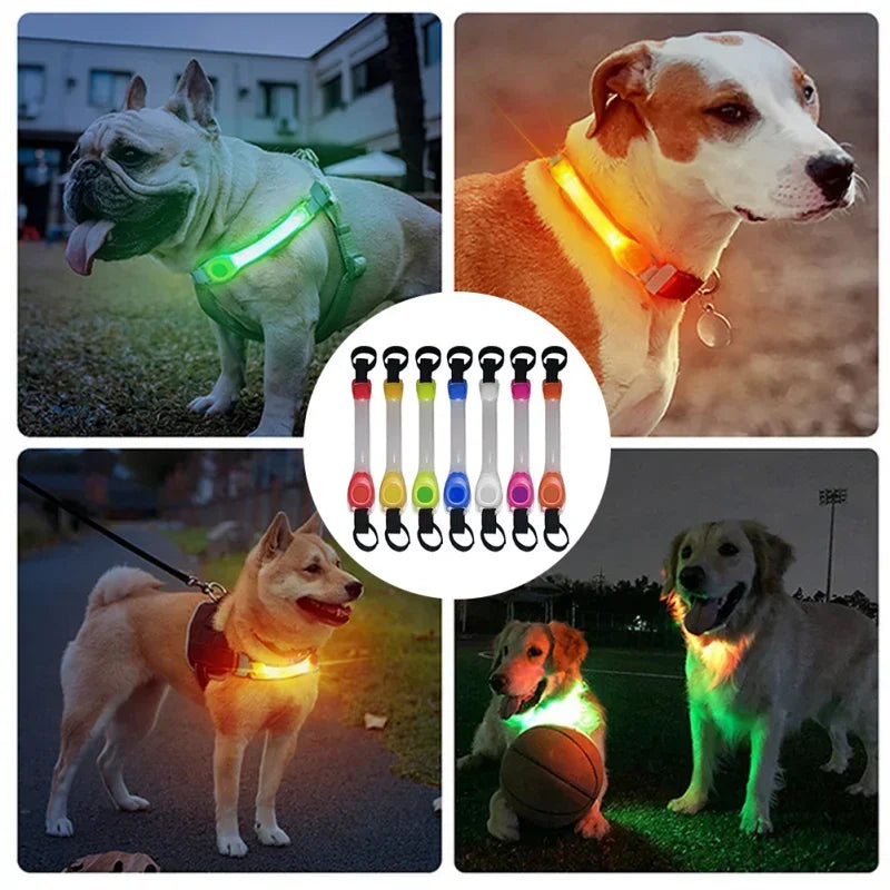 Waterproof LED Dog Collar with Glowing Safety Light, Multi-Color Pendants, Night Visibility Pet Collar for Outdoor Use