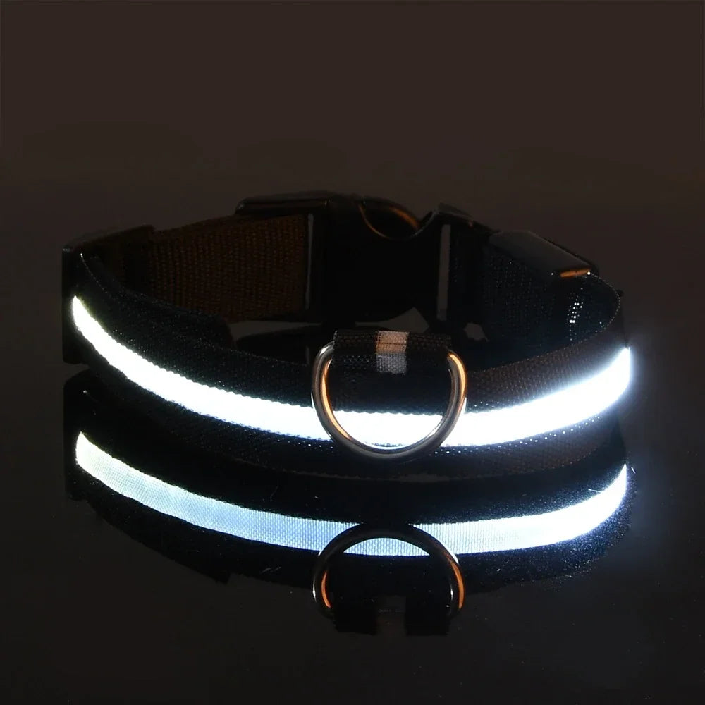 Nylon LED Night Safety Flashing Glow In The Dark Dog