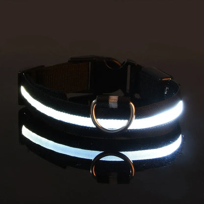 Nylon LED Night Safety Flashing Glow In The Dark Dog