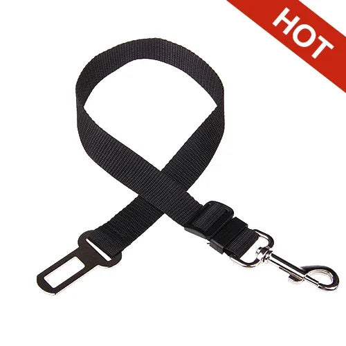 Pet Seat Belt Leash