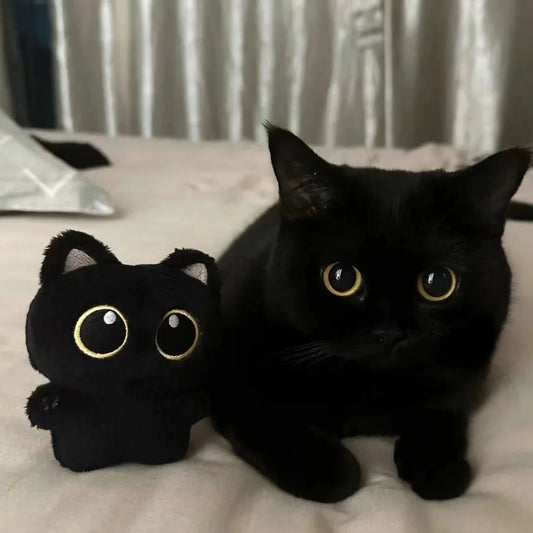 Adorable Black Cat Plush Toy – 10 cm