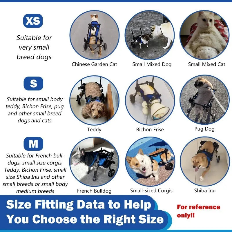 Choice Pet Wheelchair For Dog Hind Leg Paralysis Rehabilitation