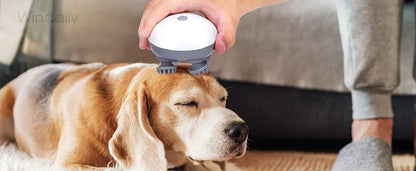 Electric Scalp Head Massager