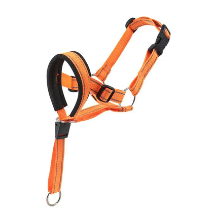 Adjustable Shock Remote Control Dog Training Collar