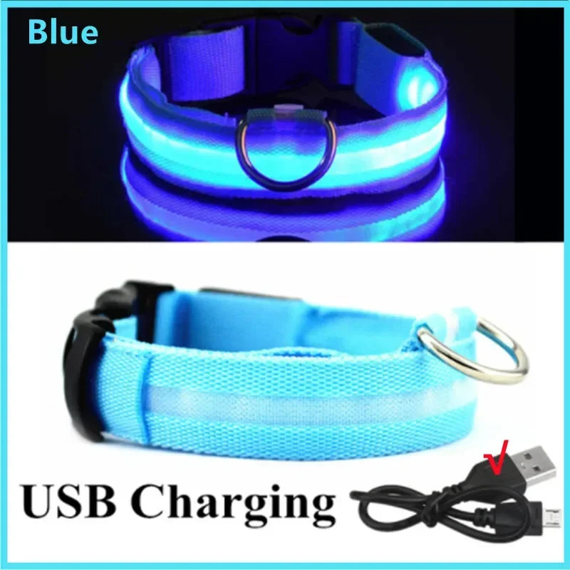 Nylon LED Night Safety Flashing Glow In The Dark Dog