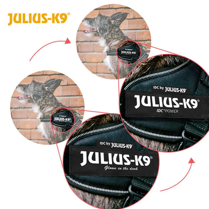 Dog Supplies Can Be Customized Towing Rope For Medium And Large Dogs