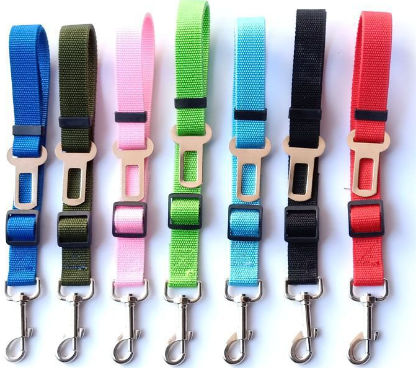 Pet Seat Belt Leash