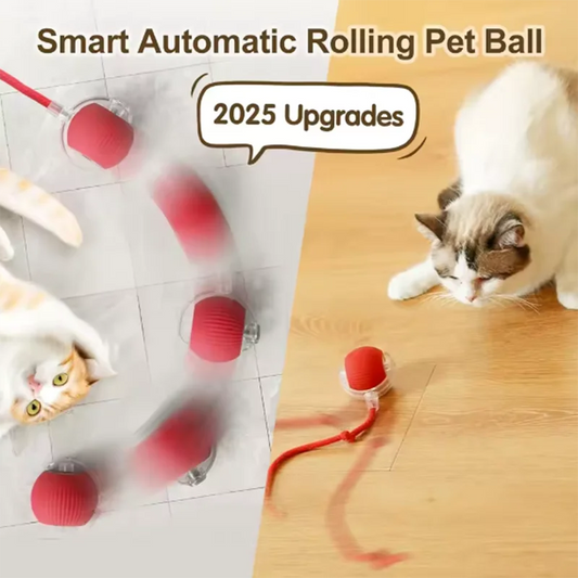 Smart Play Pet Ball