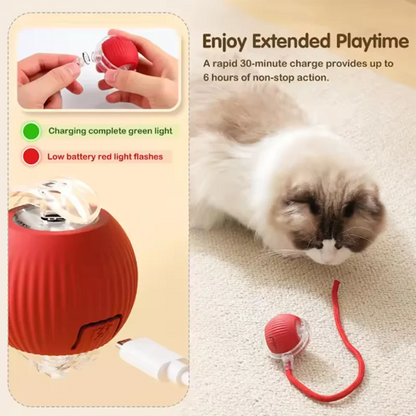 Smart Play Pet Ball
