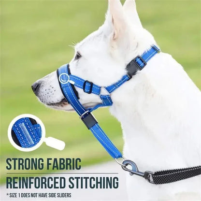 Adjustable Shock Remote Control Dog Training Collar